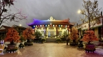 Hương Xuân bên cửa Thiền