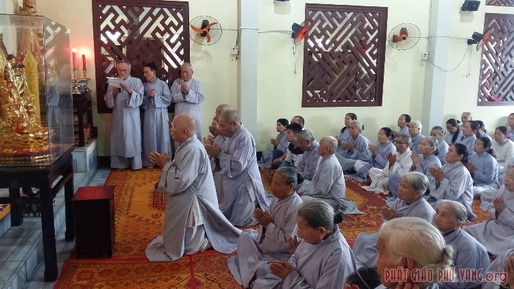 Cau an chua cu lai 1