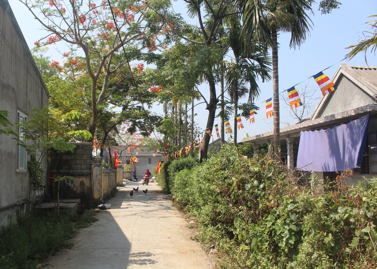 SUNG HOA (3)