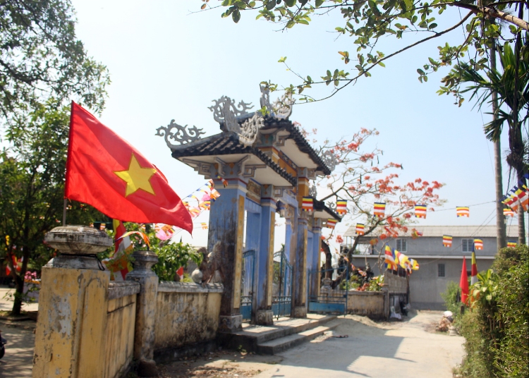 SUNG HOA (5)