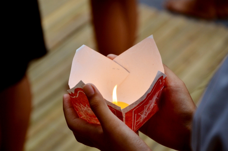Hoa Duan (13)