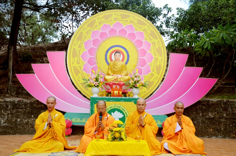 Hoa Duan (4)