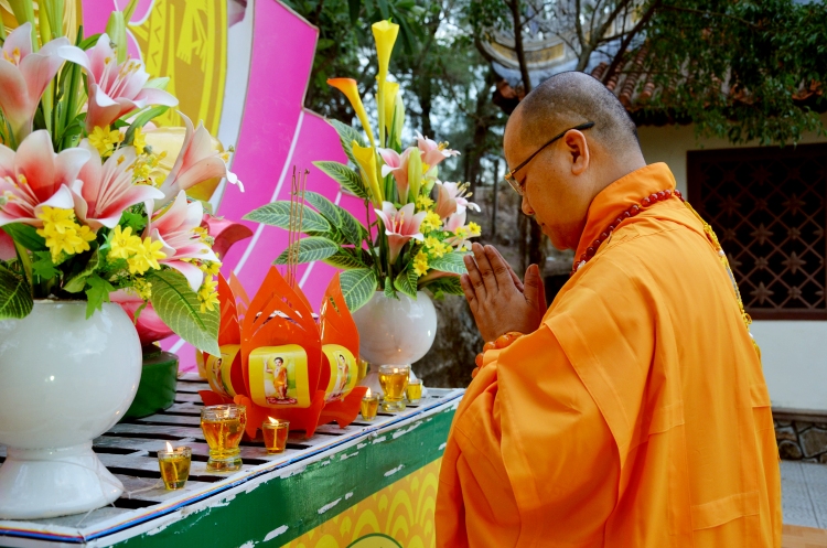 Hoa Duan (7)