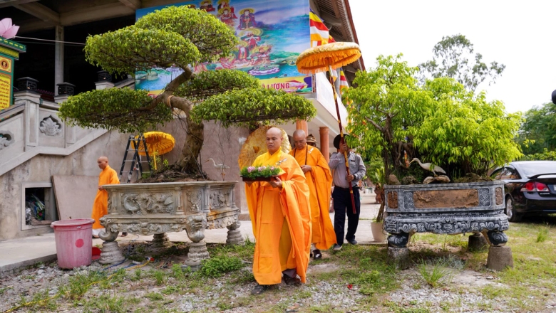 huong sen dau ha 2024 31